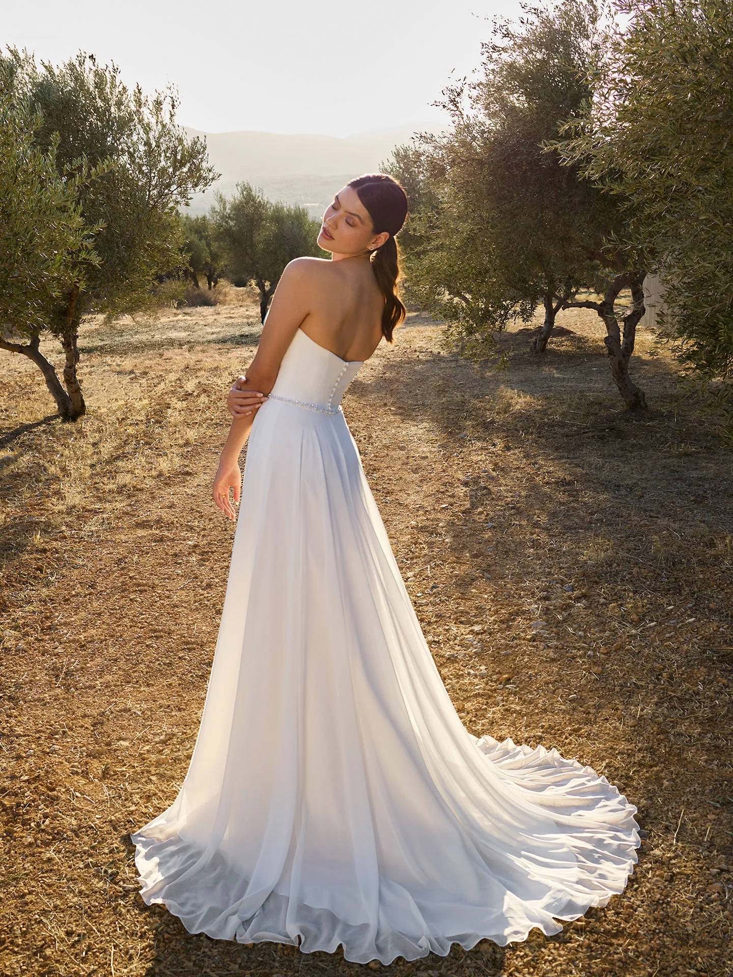 Brautkleid Clean Chic: Romantic A Linie Chiffon White Back View Without Cape