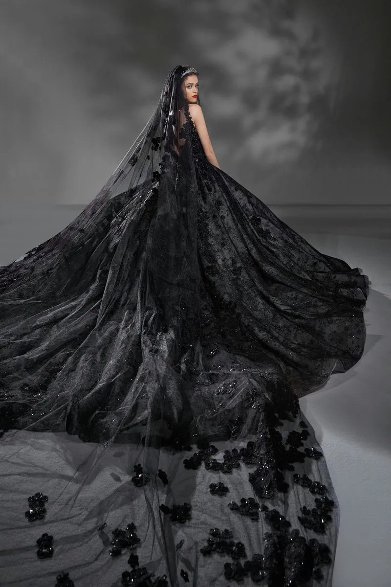 Schwarzes Brautkleid: Ball Gown Beading Lace Tulle Black
